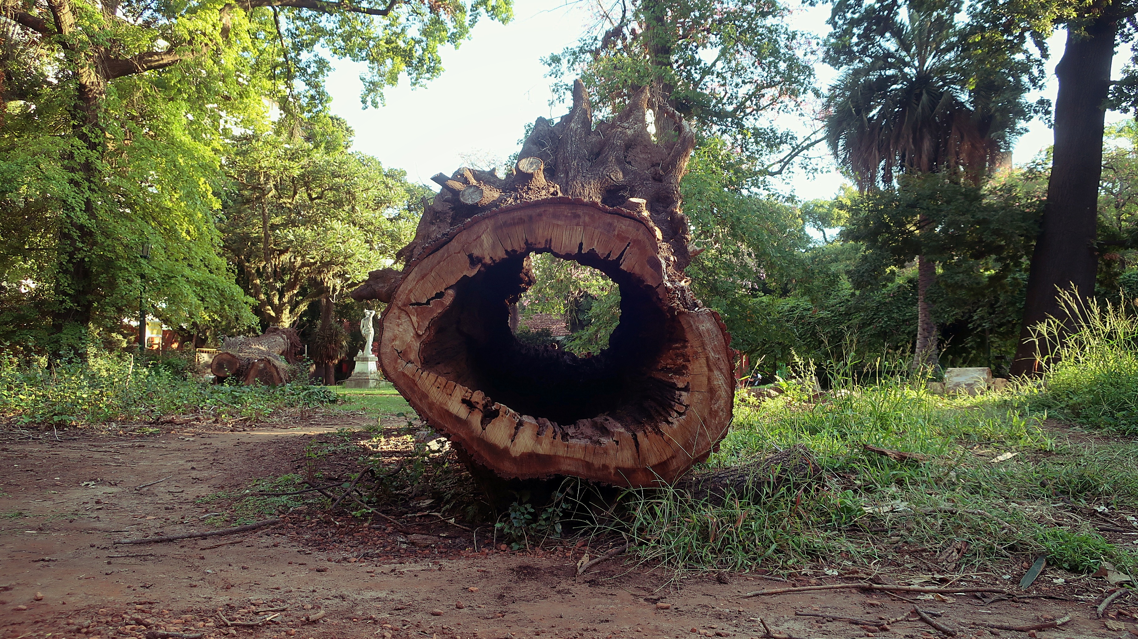 полый